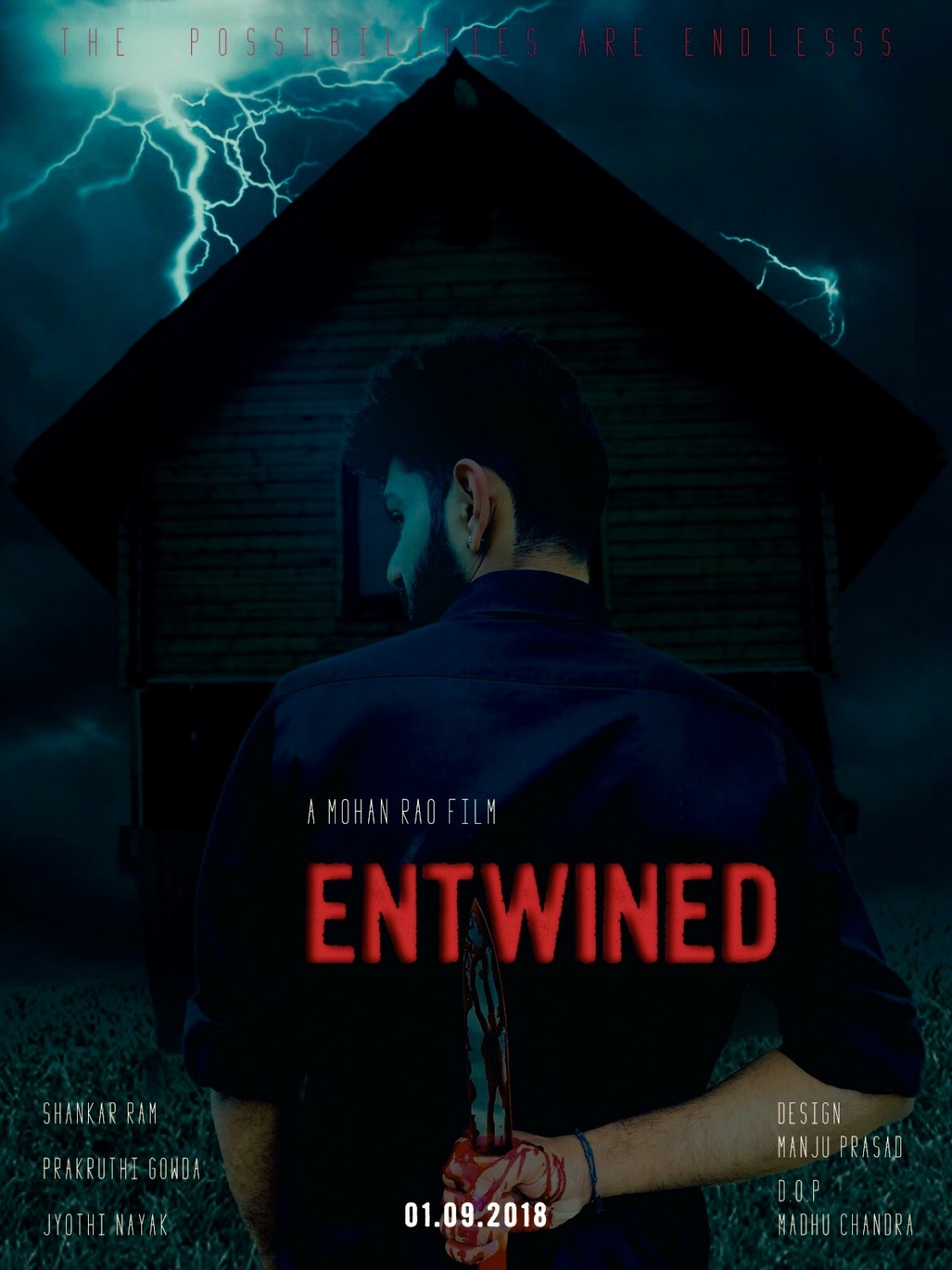 Extra Large Movie Poster Image for Entwined - The possibilities are endless