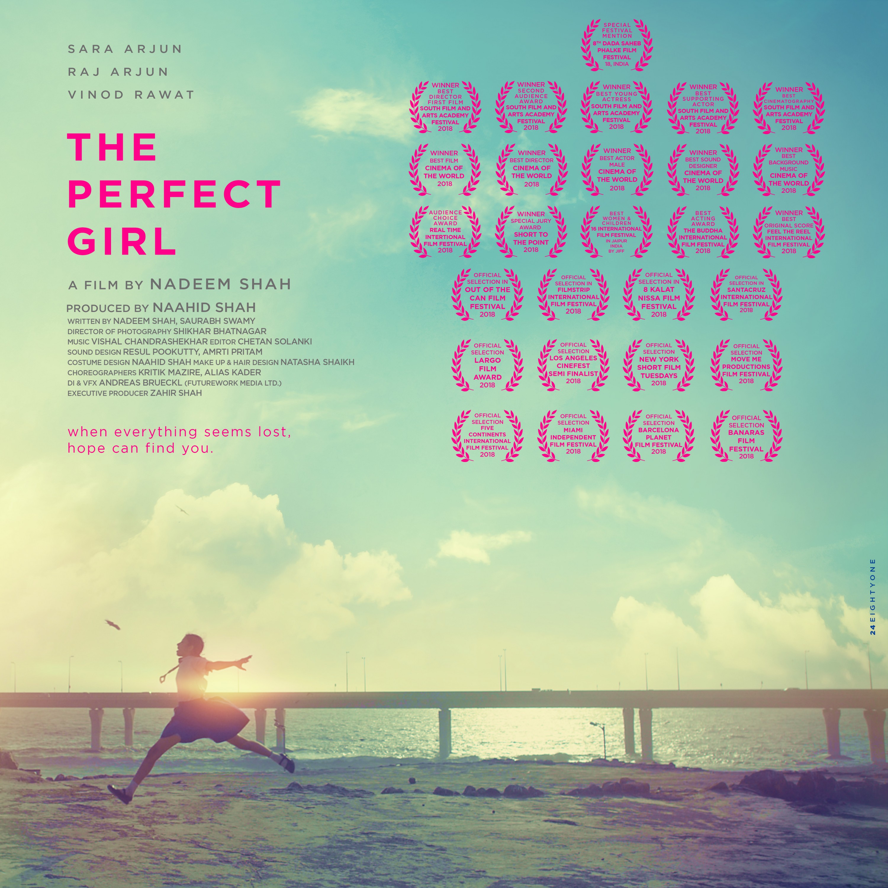 Mega Sized Movie Poster Image for The Perfect Girl