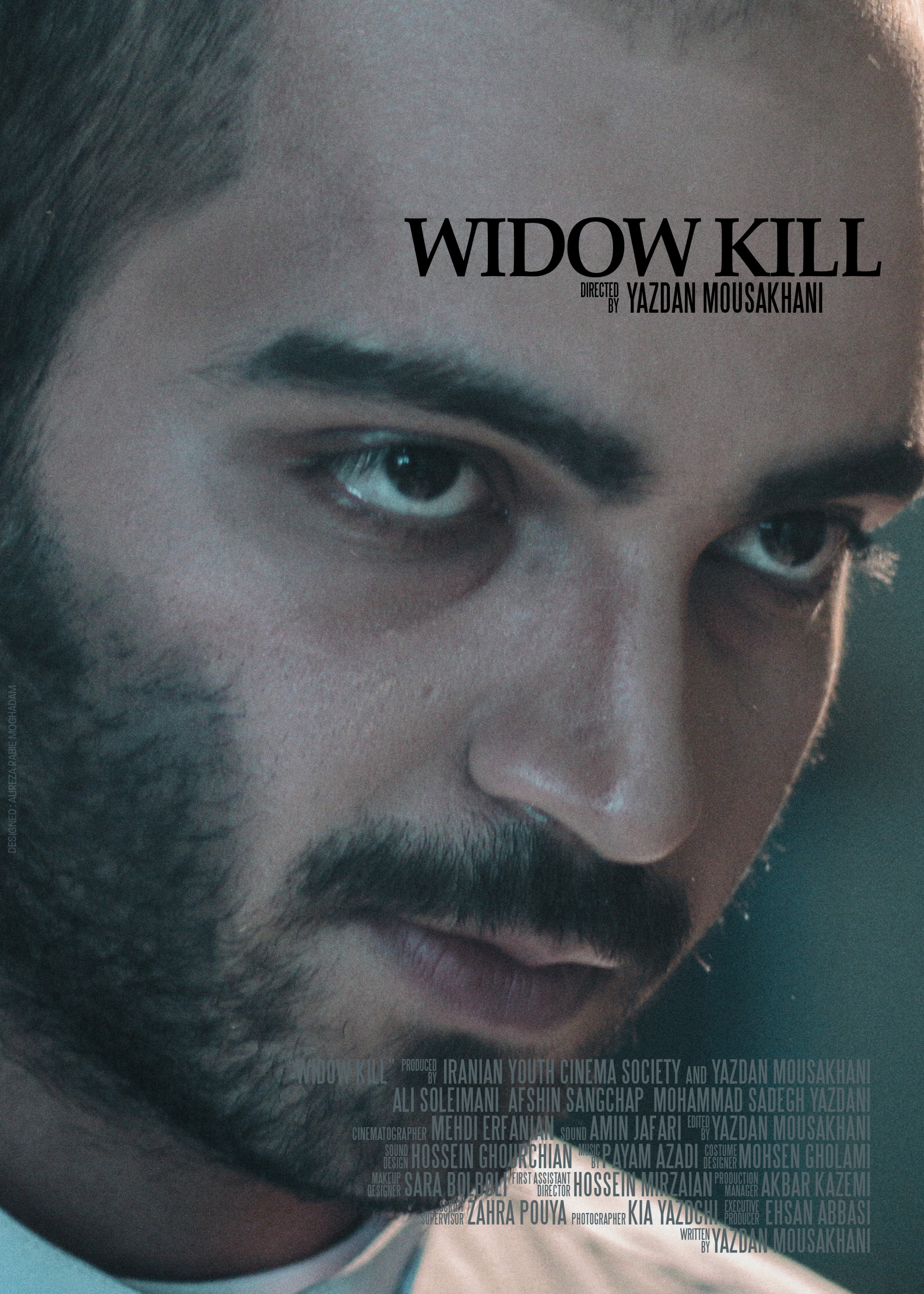 Mega Sized Movie Poster Image for Widow Kill