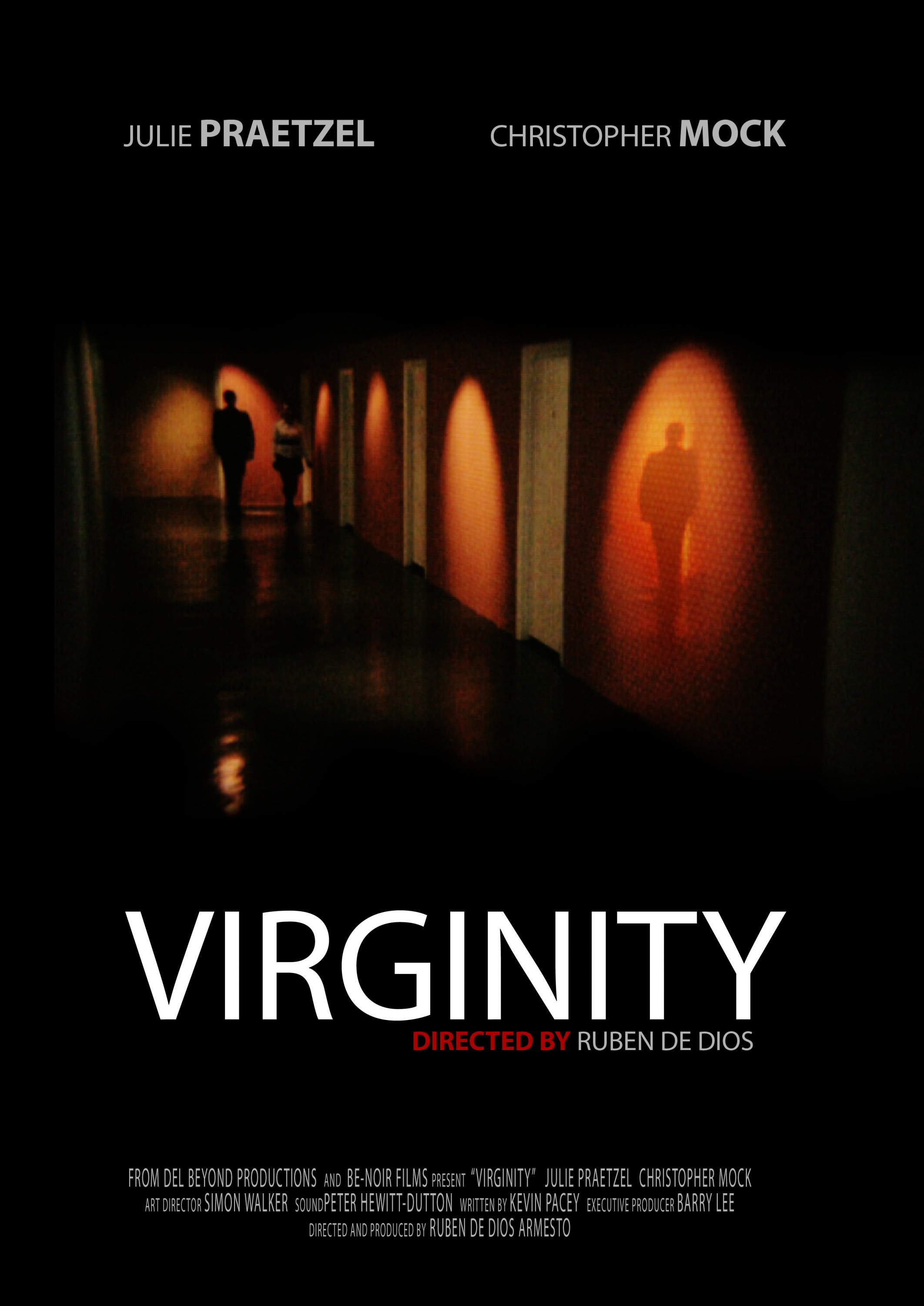 Virginity Mega Sized Movie Poster Image Internet Movie Poster Awards Gallery