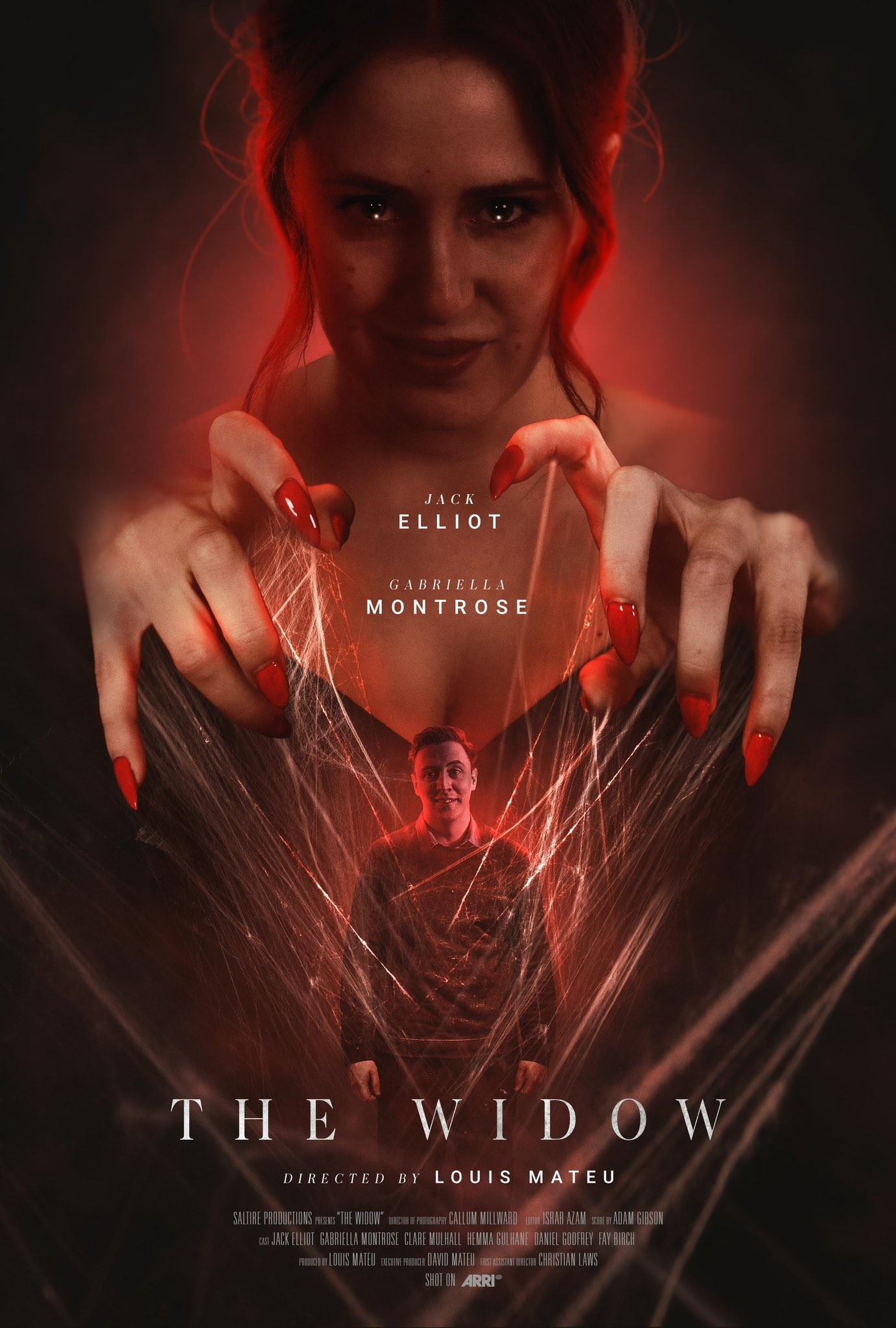 Mega Sized Movie Poster Image for The Widow