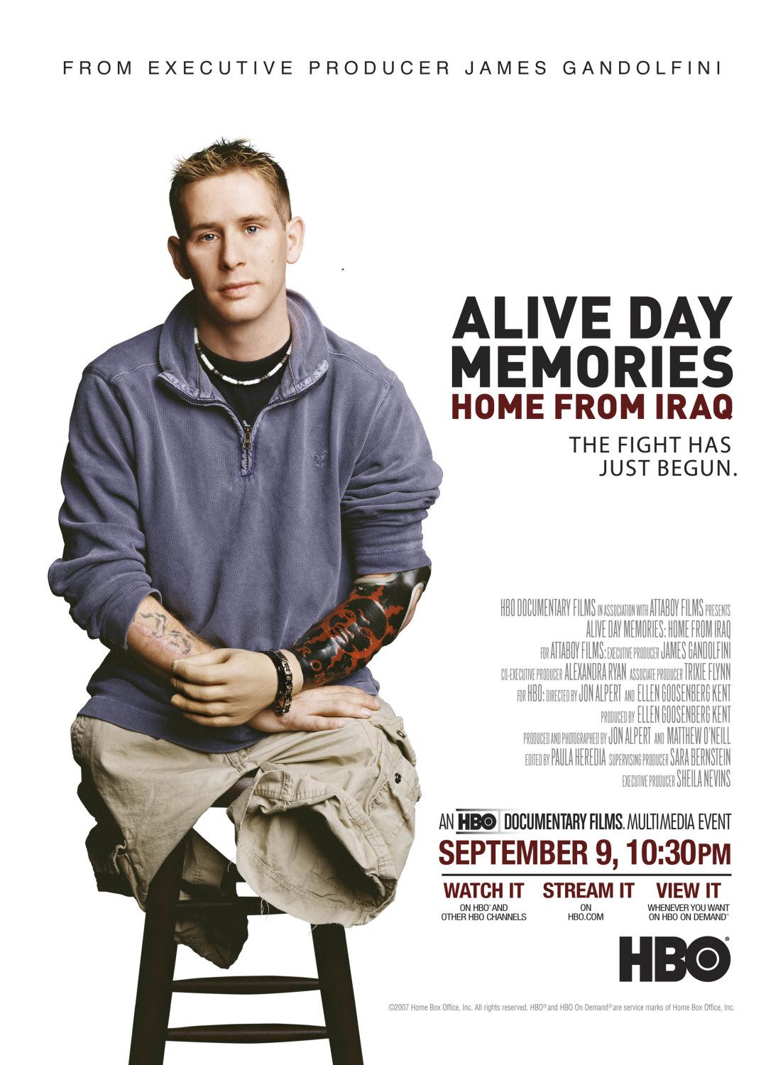 Extra Large TV Poster Image for Alive Day Memories: Home from Iraq (#1 of 3)