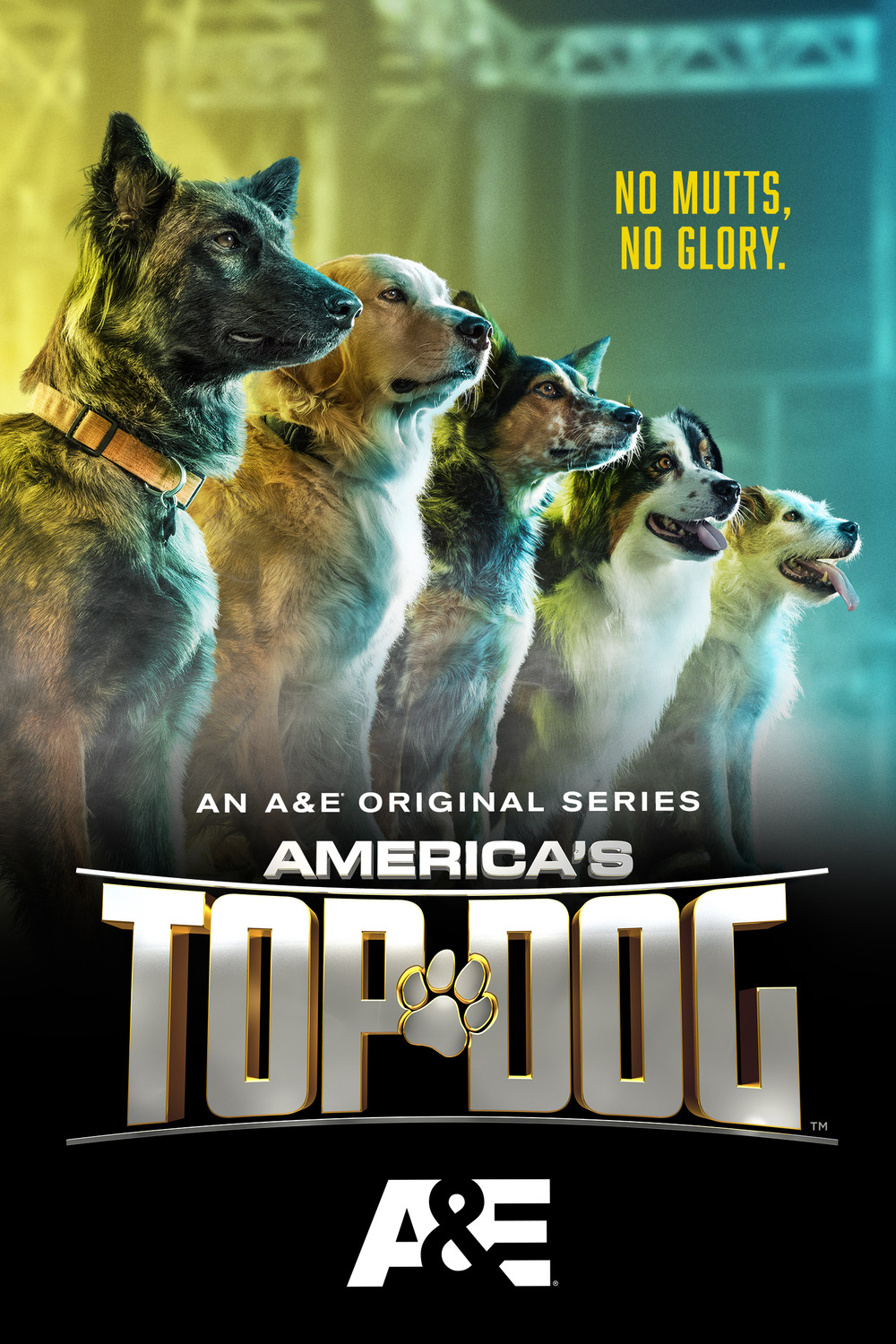 America's Top (#3 3): Extra Movie Poster Image - IMP Awards
