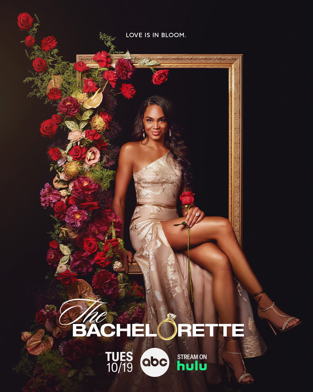Extra Large TV Poster Image for The Bachelorette (#21 of 23)
