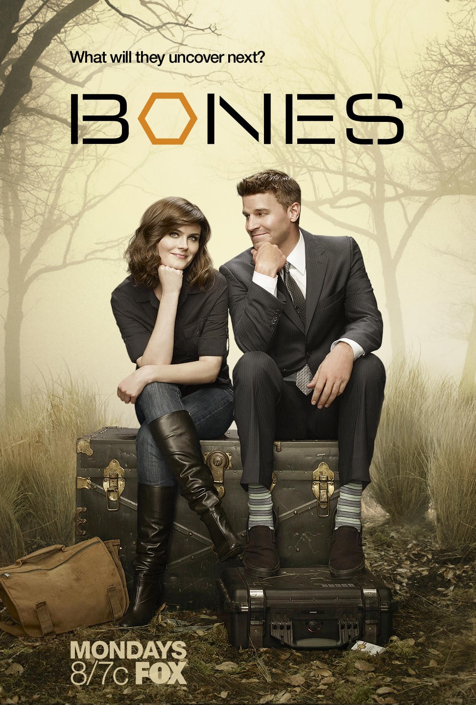 Extra Large TV Poster Image for Bones (#8 of 10)