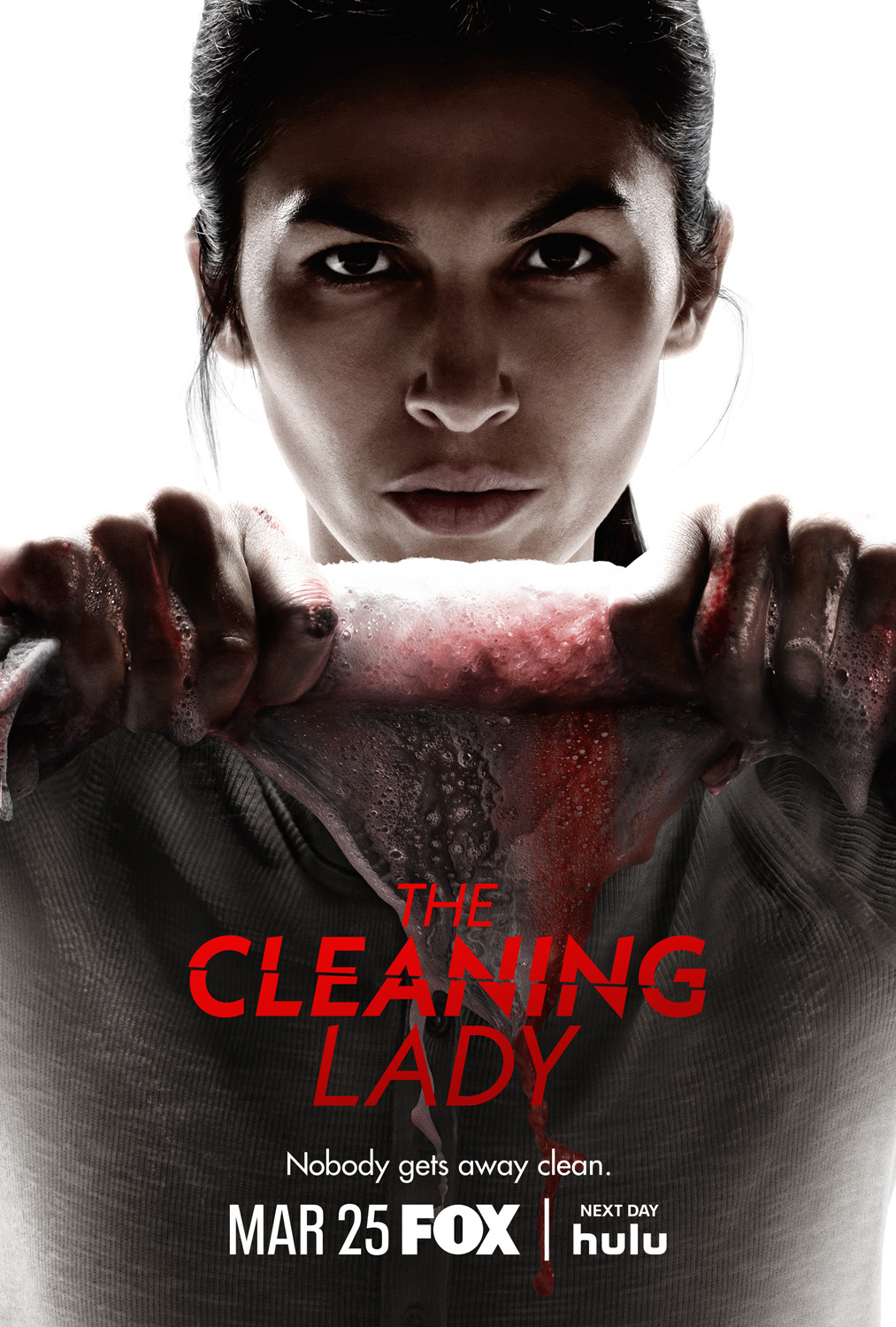 Extra Large TV Poster Image for The Cleaning Lady (#5 of 6)