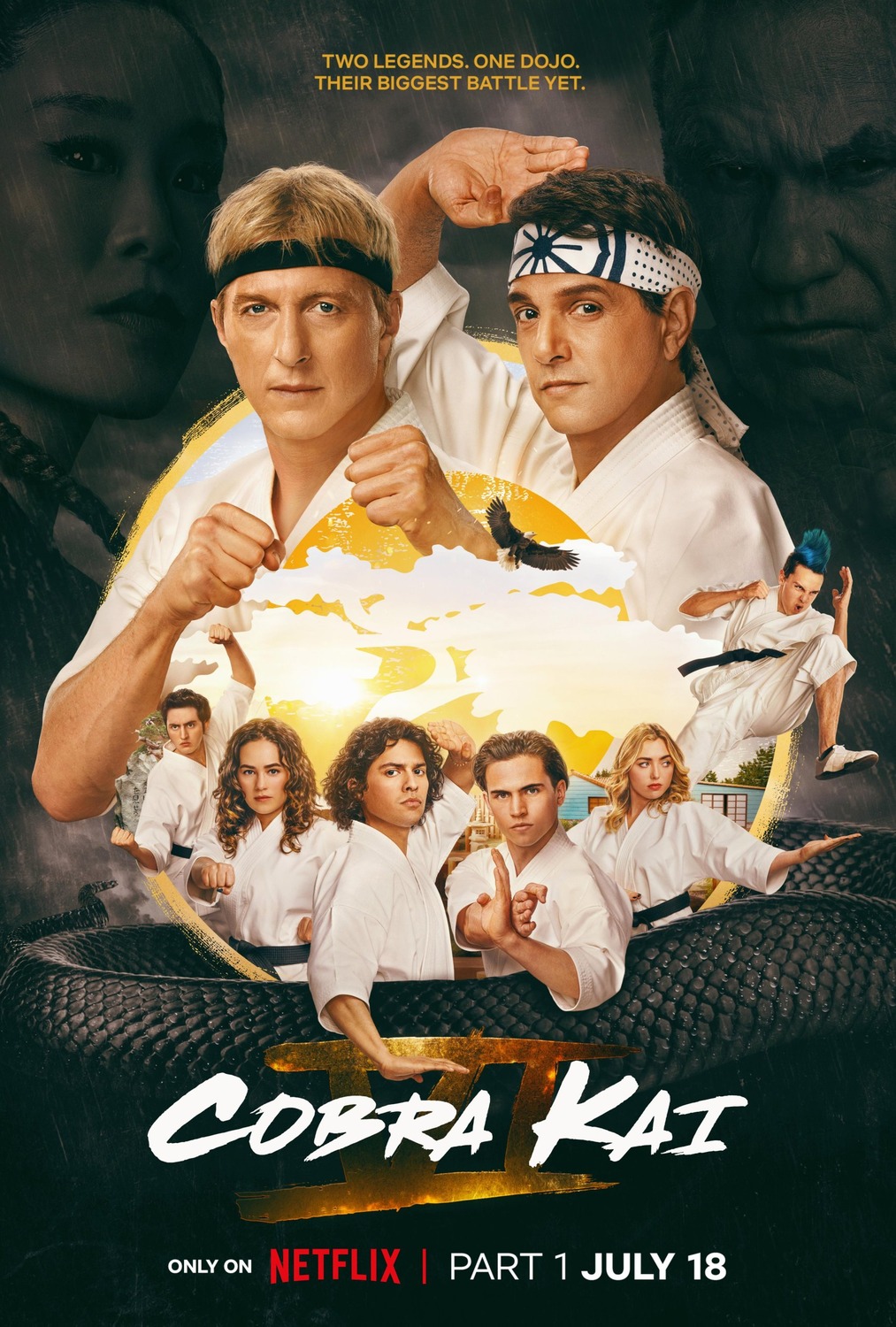 Extra Large TV Poster Image for Cobra Kai (#21 of 21)