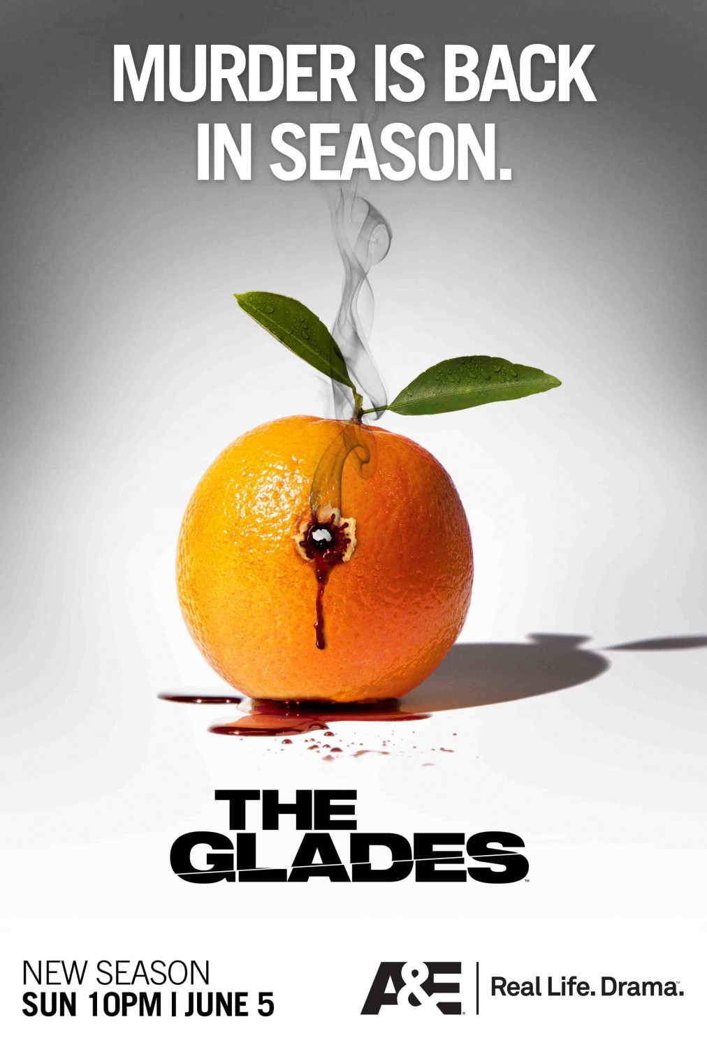 Extra Large TV Poster Image for The Glades (#3 of 5)