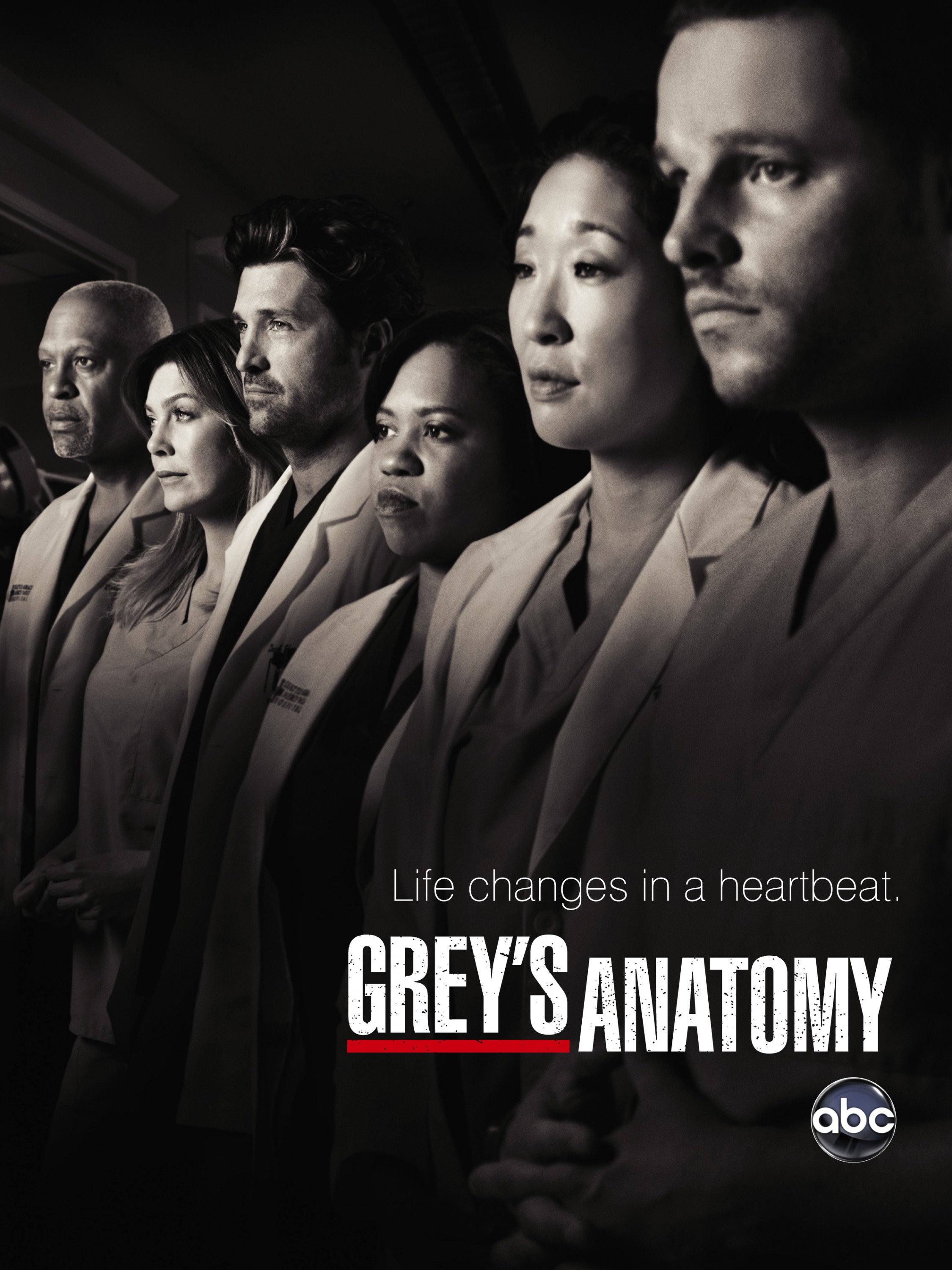 Mega Sized TV Poster Image for Grey's Anatomy (#10 of 29)
