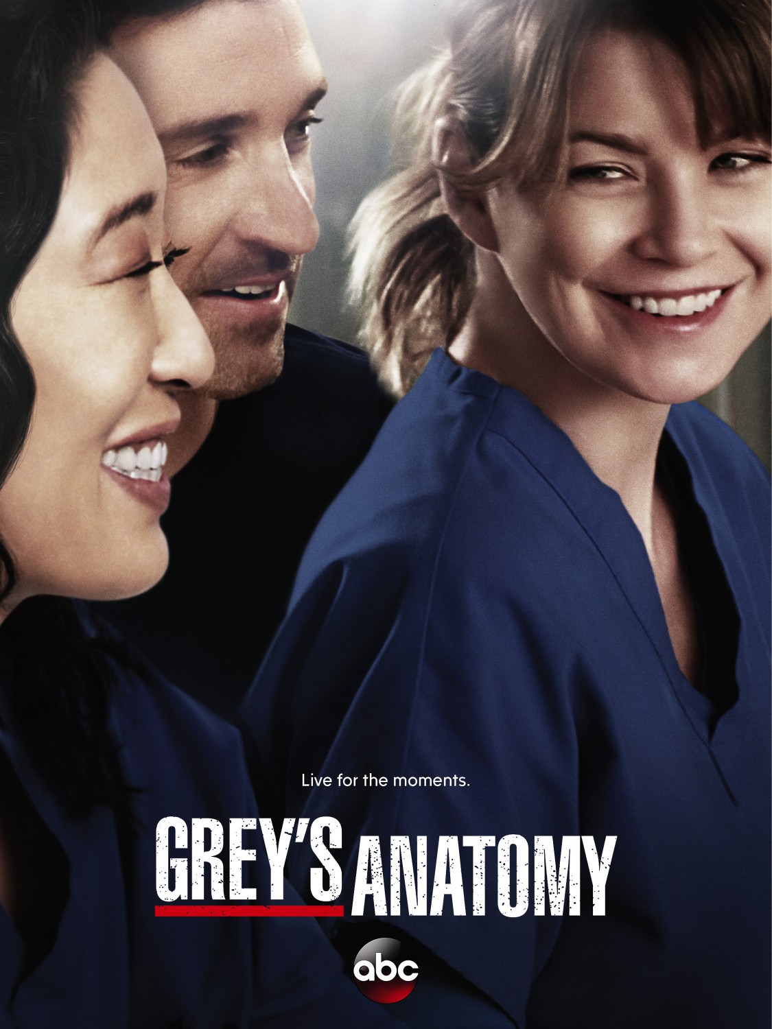 Extra Large TV Poster Image for Grey's Anatomy (#15 of 29)