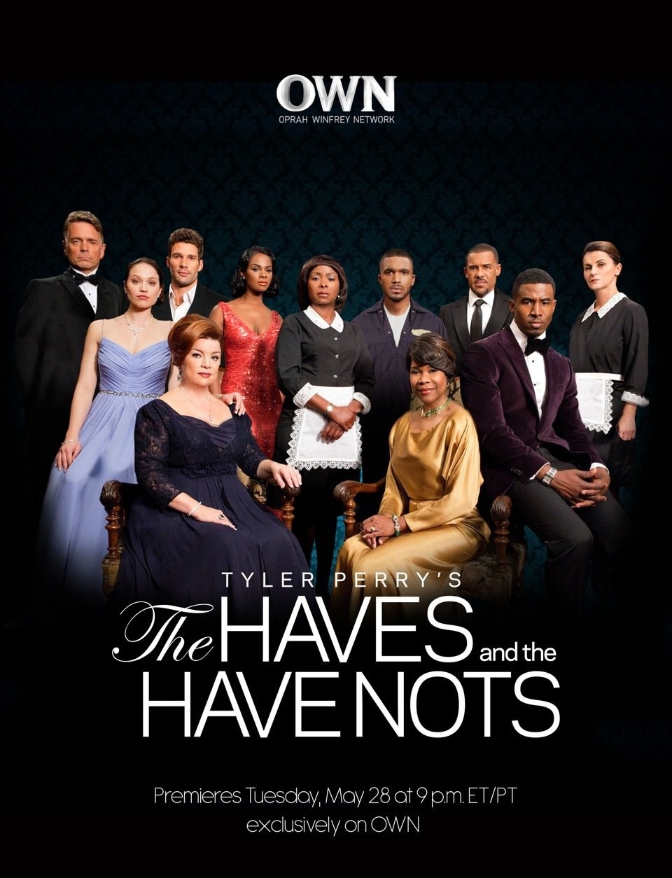 Extra Large TV Poster Image for The Haves and the Have Nots (#1 of 3)