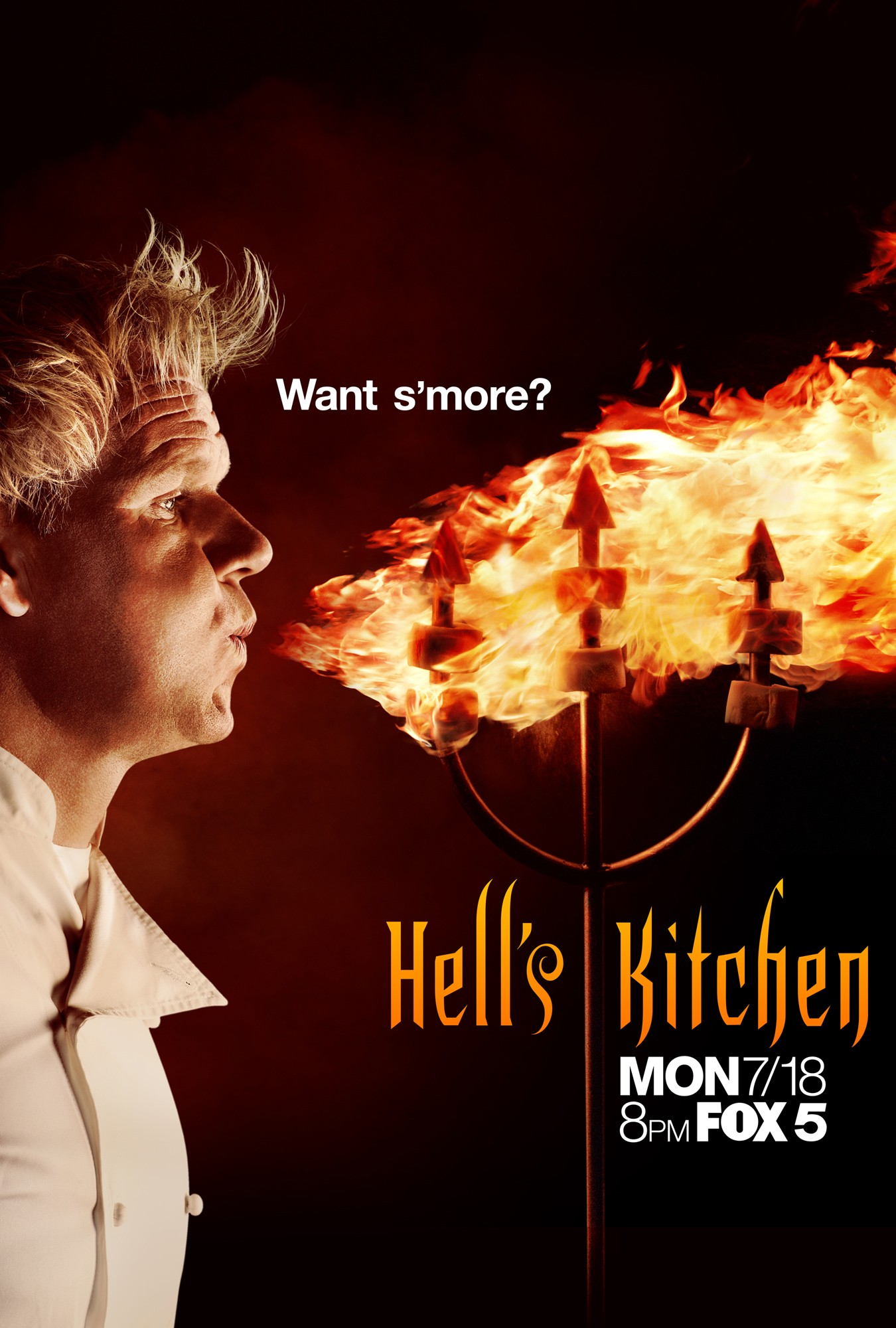 Mega Sized TV Poster Image for Hell's Kitchen (#3 of 10)