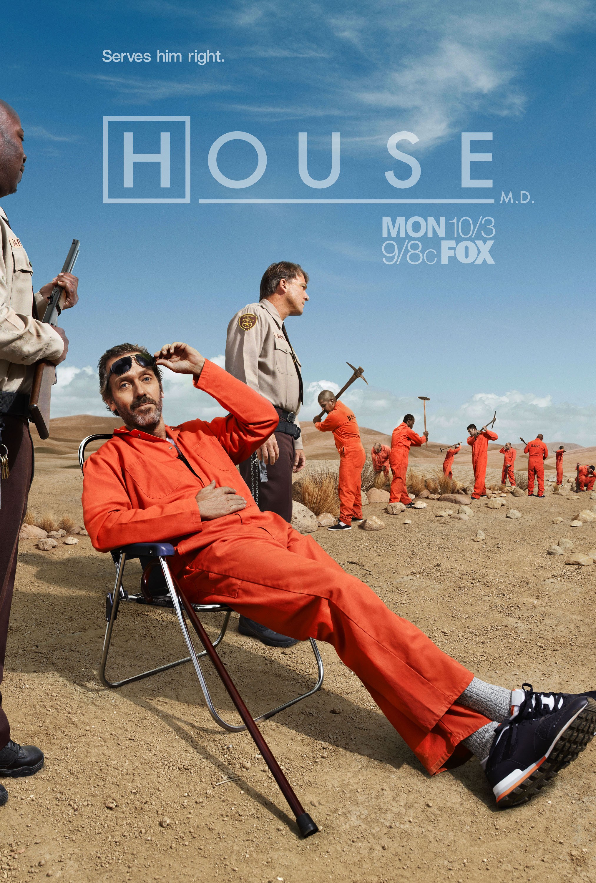 Mega Sized TV Poster Image for House, M.D. (#16 of 20)