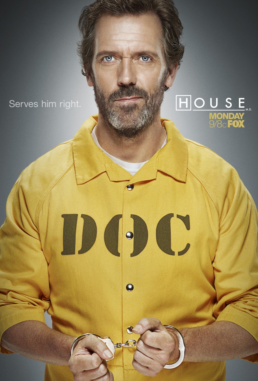 Extra Large TV Poster Image for House, M.D. (#17 of 20)