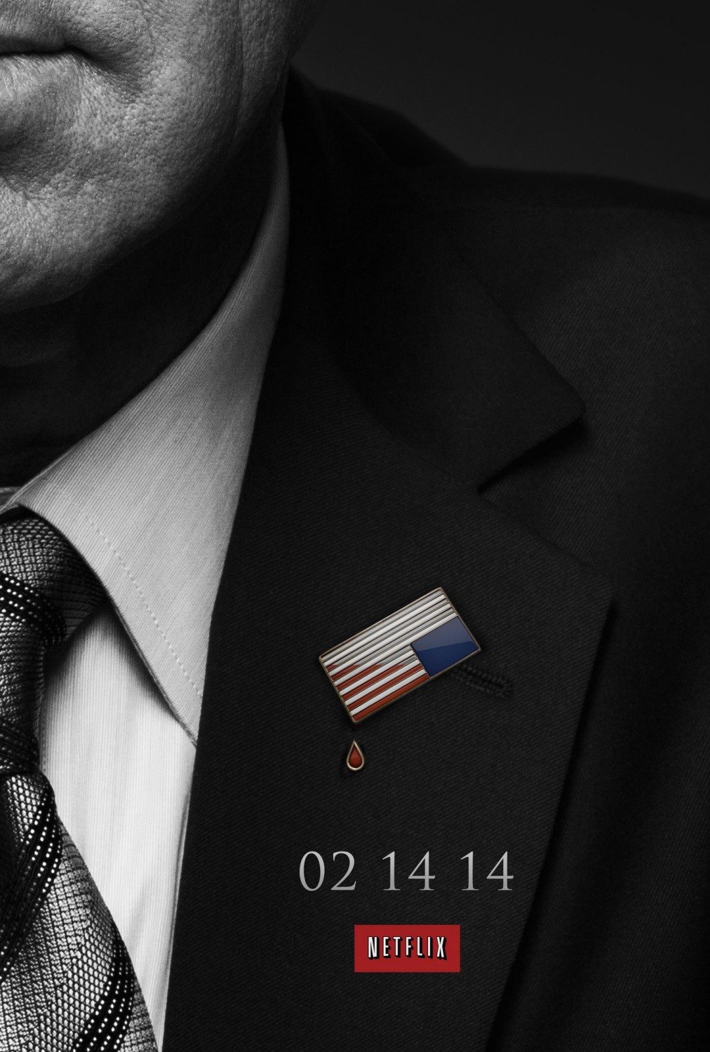 Extra Large TV Poster Image for House of Cards (#3 of 10)
