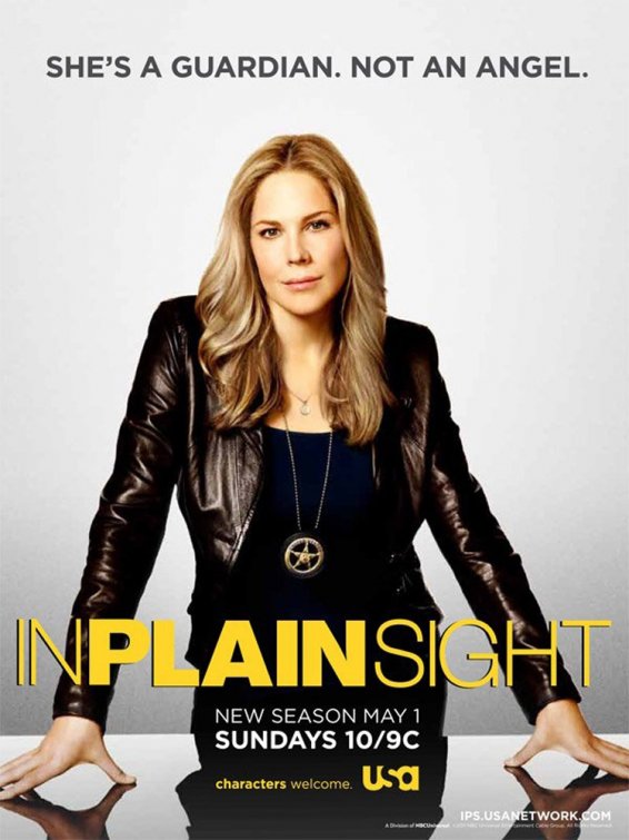 In Plain Sight Movie Poster