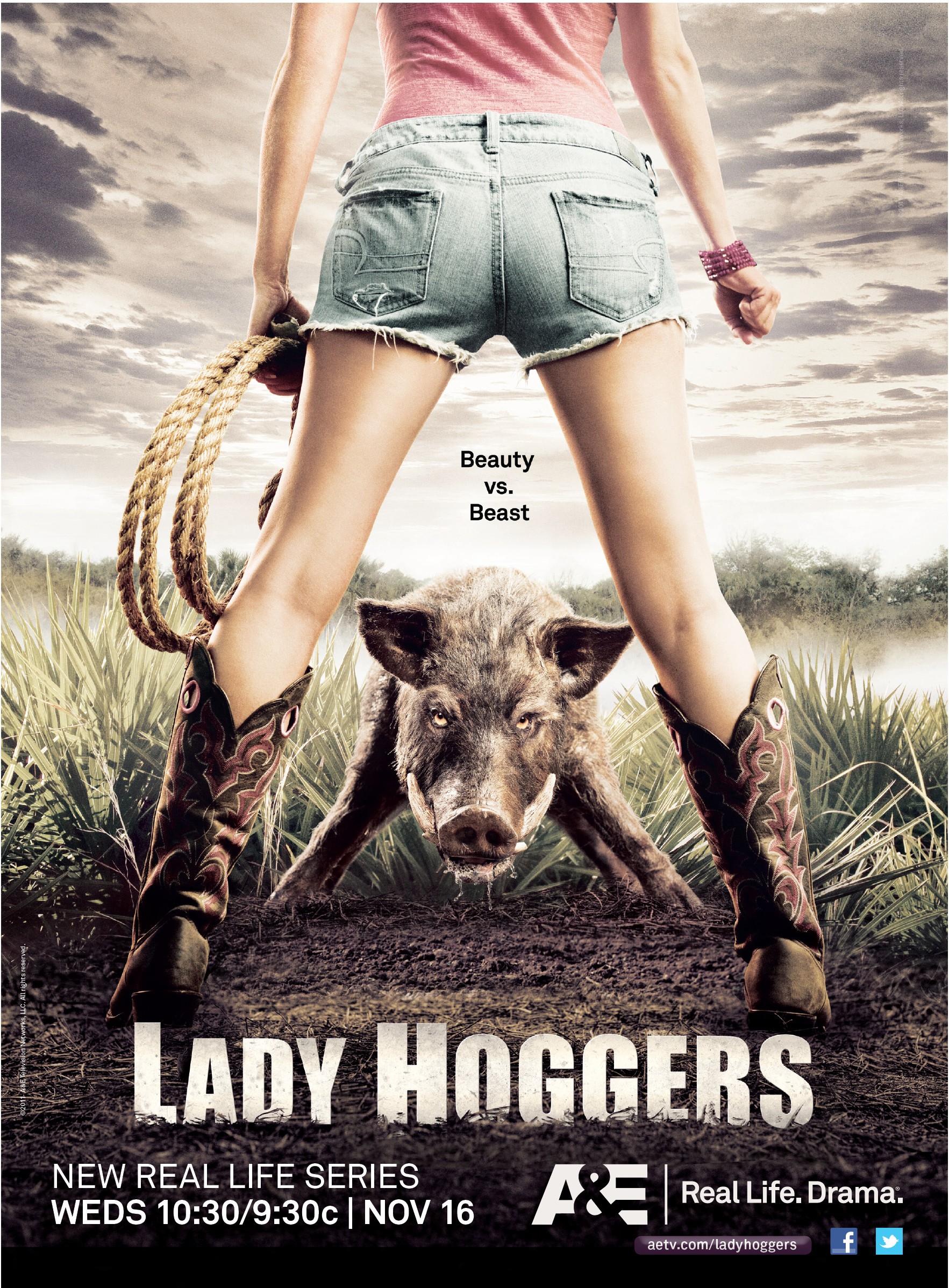Mega Sized TV Poster Image for Lady Hoggers 