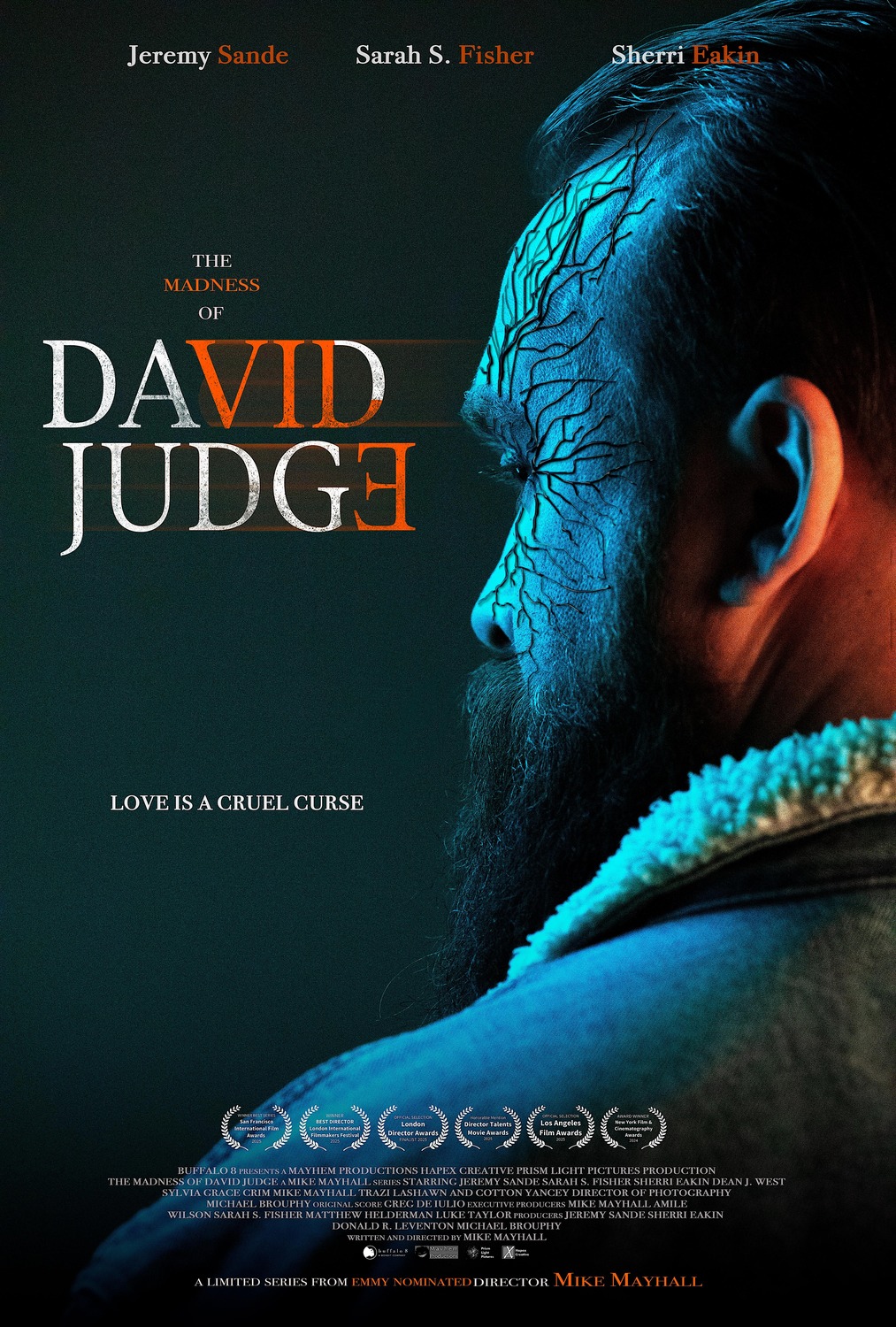 Extra Large TV Poster Image for The Madness of David Judge 