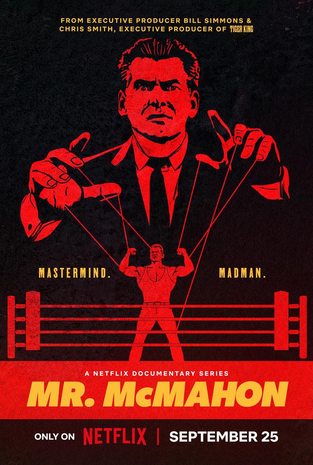 Extra Large TV Poster Image for Mr. McMahon 