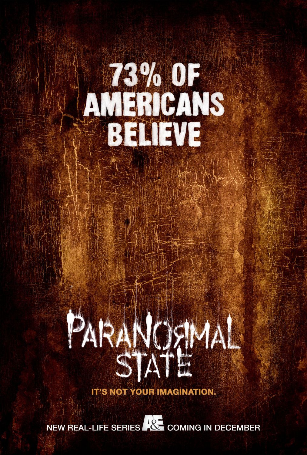 Extra Large TV Poster Image for Paranormal State 