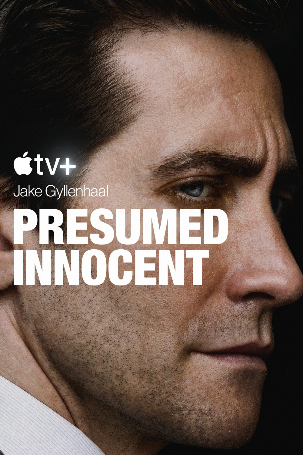 Extra Large TV Poster Image for Presumed Innocent (#1 of 2)