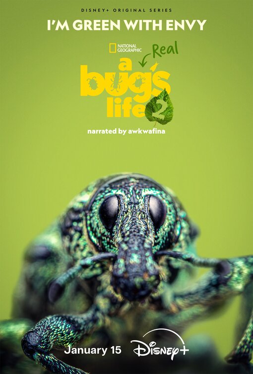 A Real Bug's Life Movie Poster