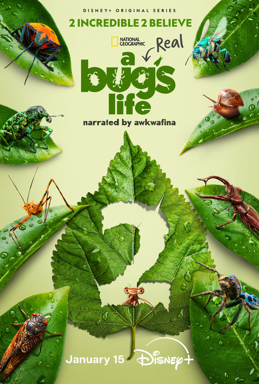 A Real Bug's Life Movie Poster