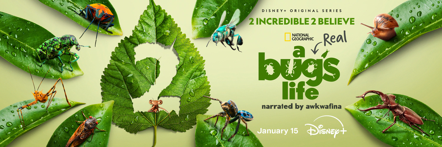 Extra Large TV Poster Image for A Real Bug's Life (#9 of 13)