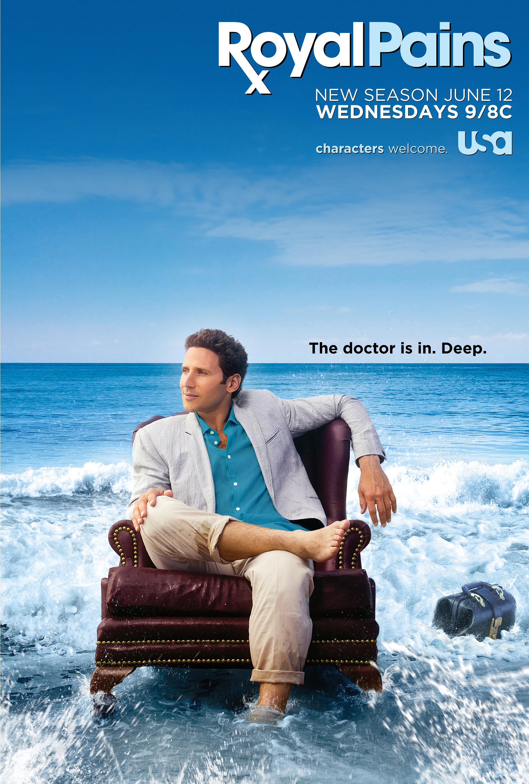 Mega Sized TV Poster Image for Royal Pains (#8 of 9)