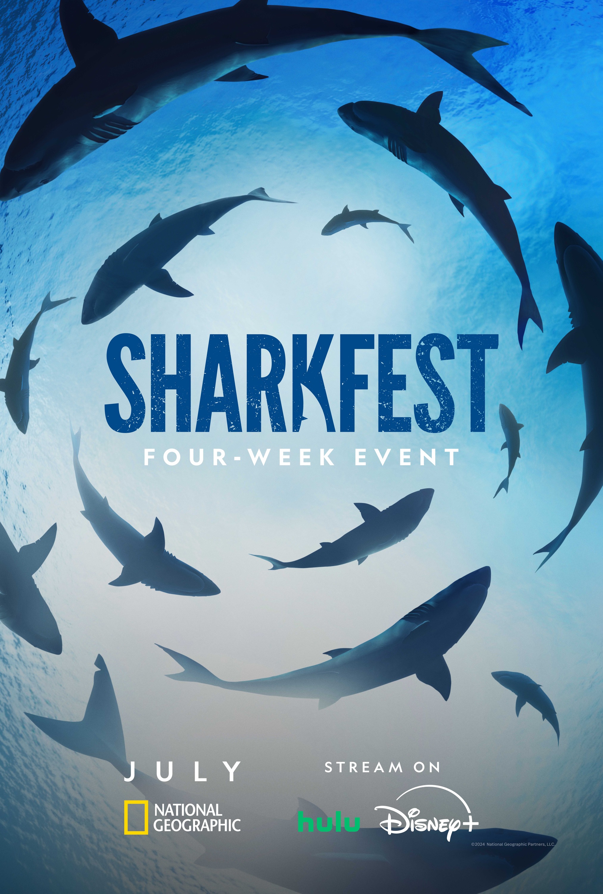 Mega Sized TV Poster Image for Sharkfest (#3 of 3)