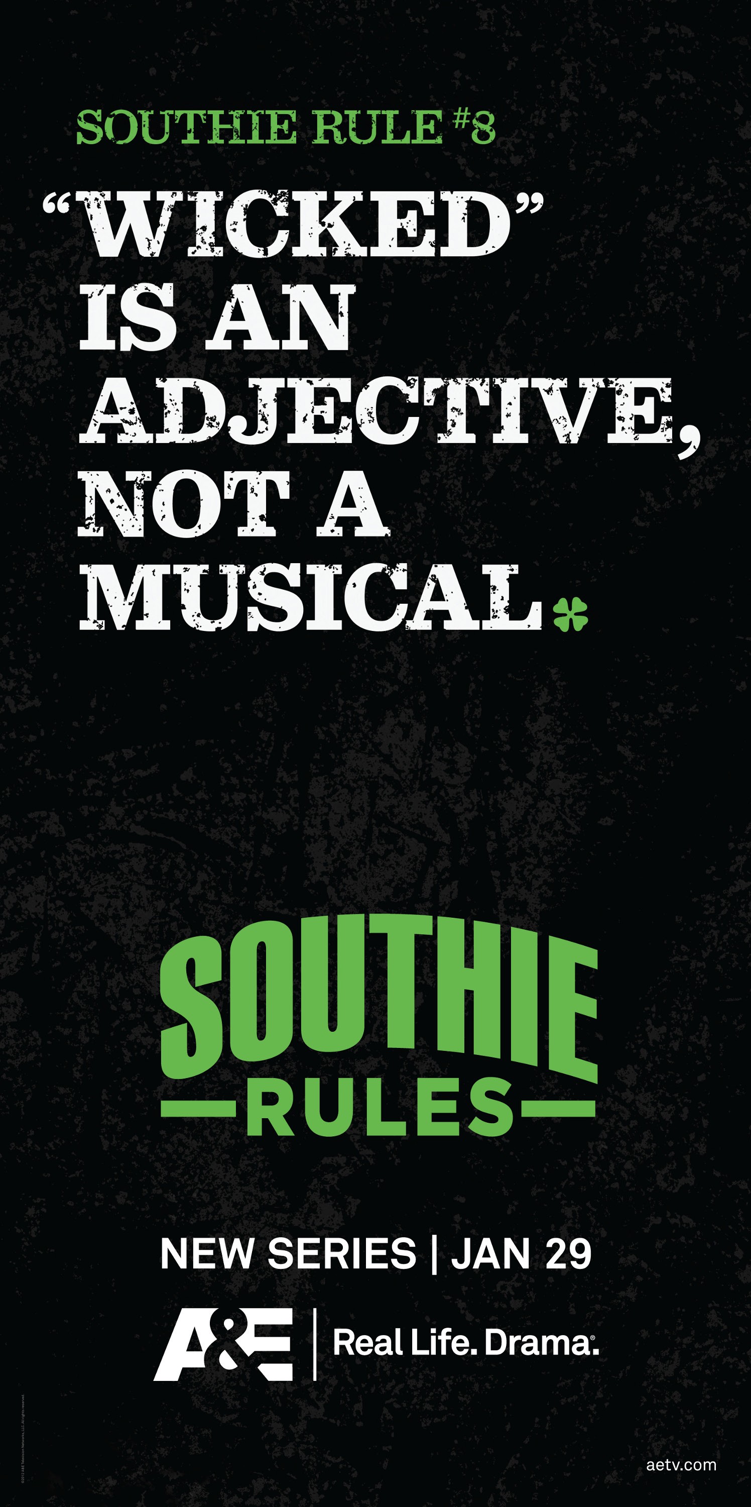 Mega Sized TV Poster Image for Southie Rules (#4 of 5)