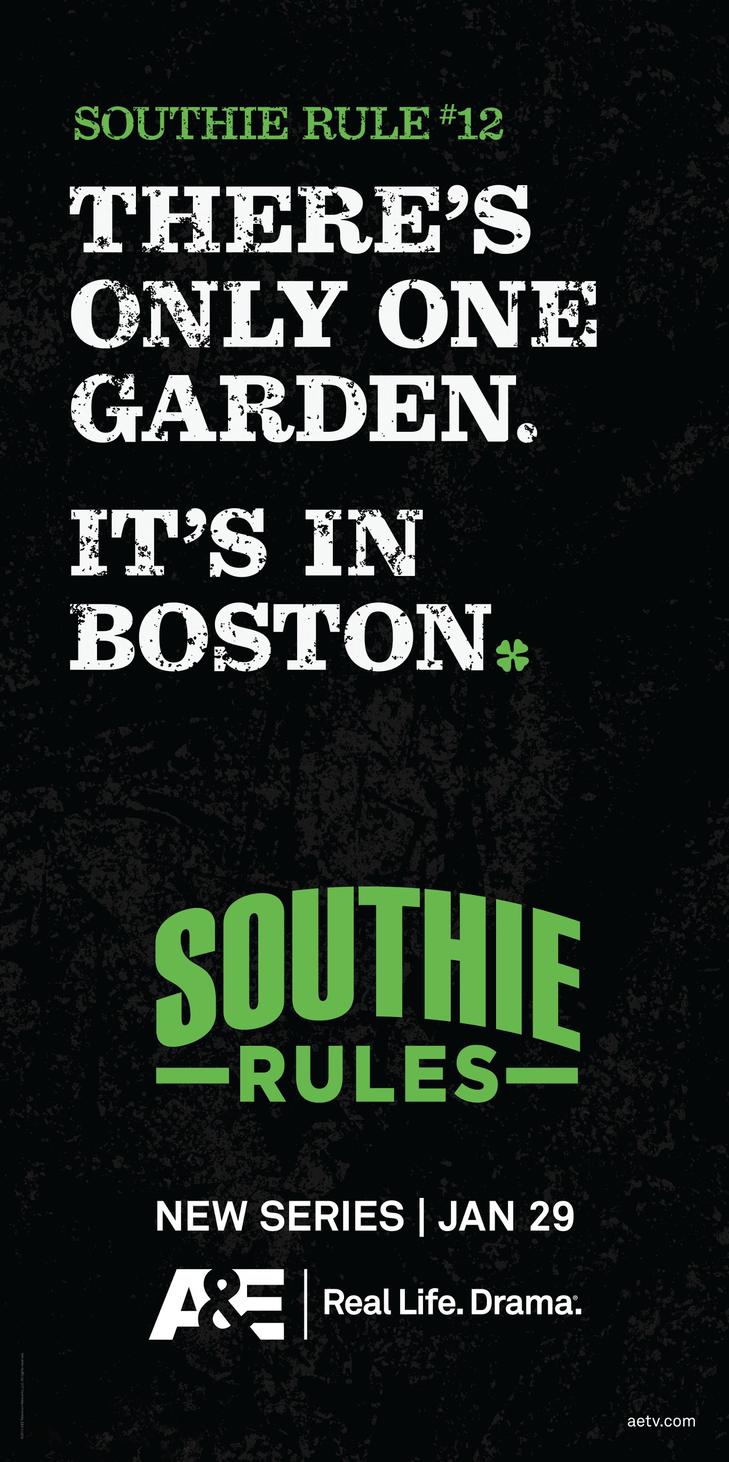 Mega Sized TV Poster Image for Southie Rules (#5 of 5)