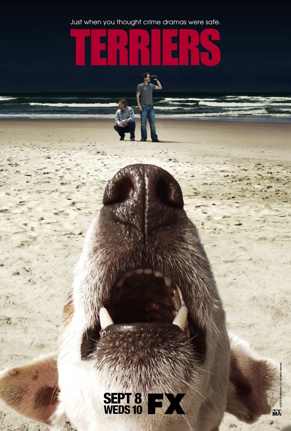 Extra Large TV Poster Image for Terriers (#1 of 3)