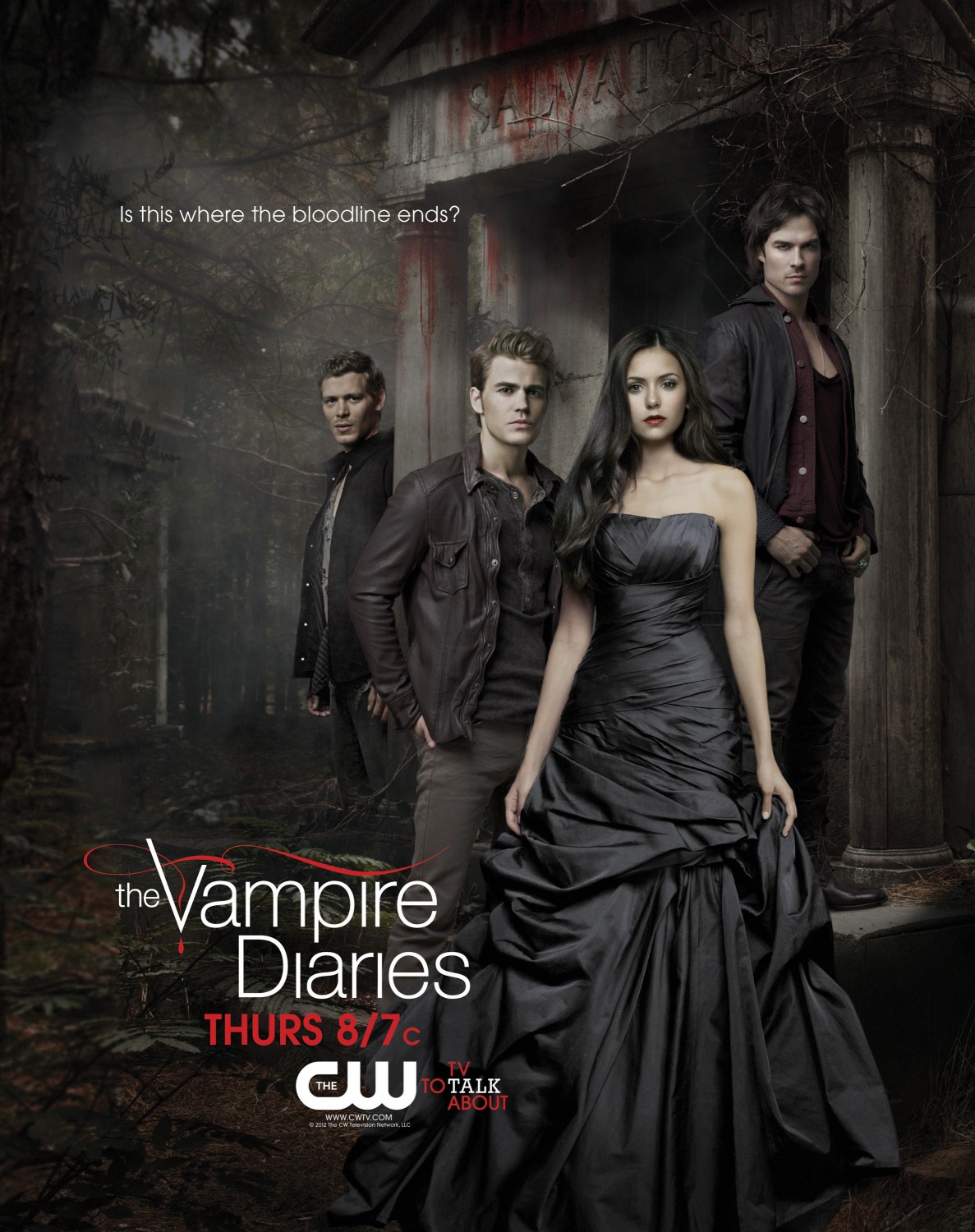 Extra Large TV Poster Image for The Vampire Diaries (#21 of 61)