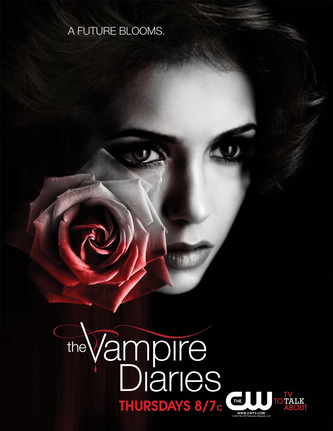 Extra Large TV Poster Image for The Vampire Diaries (#23 of 61)