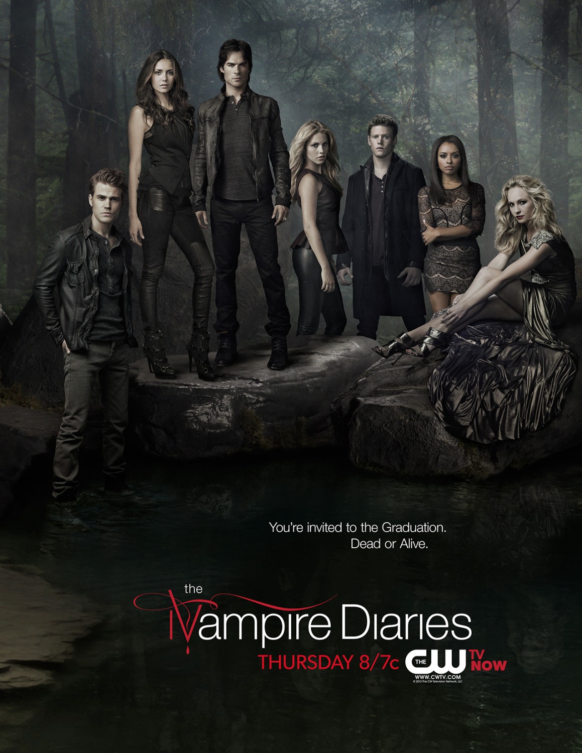 The Vampire Diaries (44 of 61) Extra Large Movie Poster Image IMP