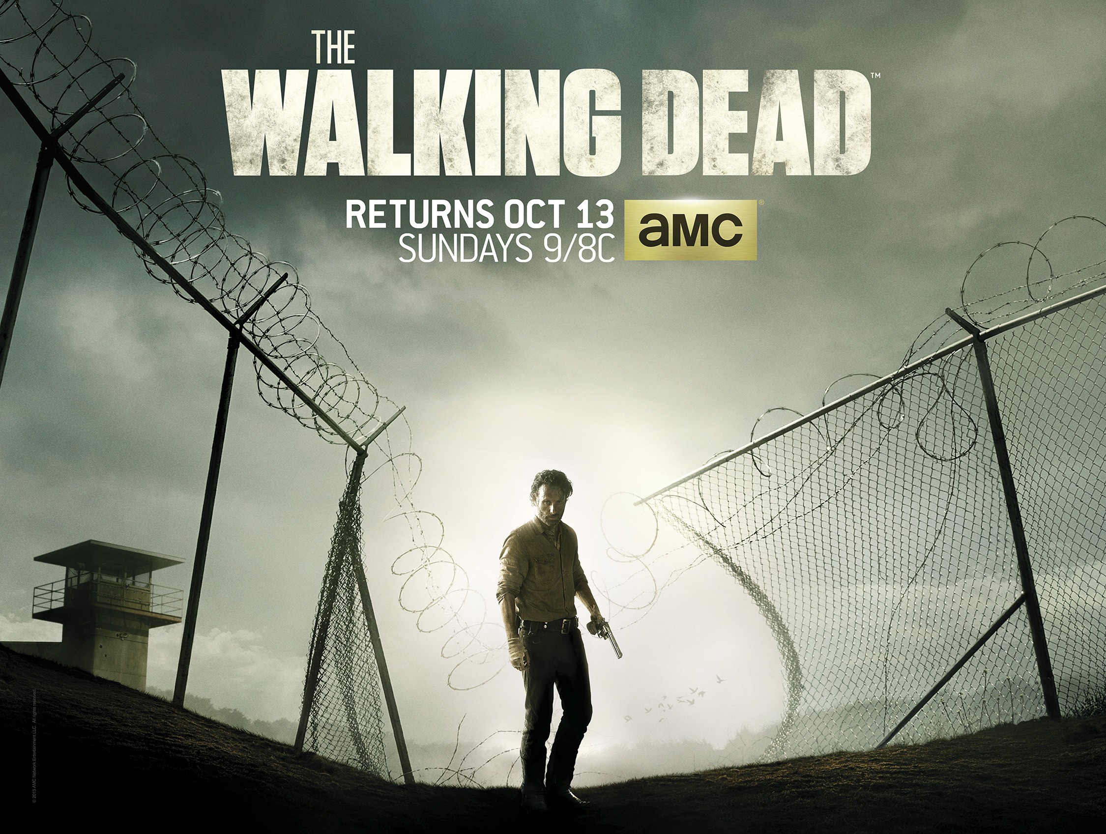 Mega Sized TV Poster Image for The Walking Dead (#28 of 67)