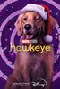 Hawkeye  Thumbnail