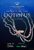Secrets of the Octopus  Thumbnail