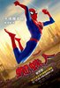 Spider-Man: Into the Spider-Verse Movie Poster (#12 of 21) - IMP Awards