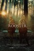 The Rooster (#1 of 2): Extra Large Movie Poster Image - IMP Awards